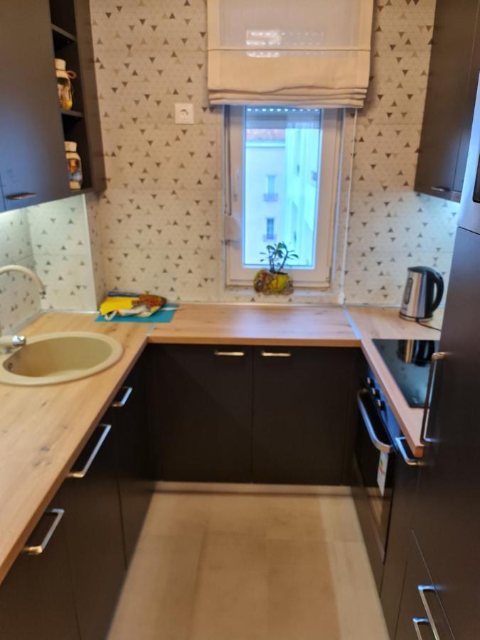 Grand Lux Apartman Čačak エクステリア 写真
